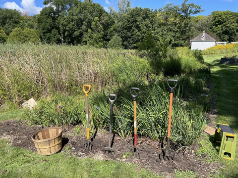 garden forks